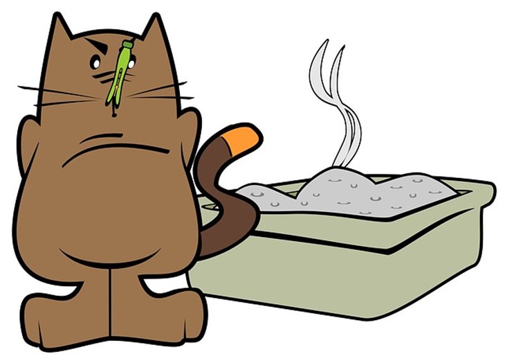 kucing
