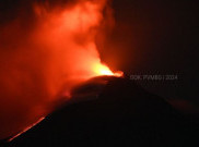 Lava Pijar Erupsi Gunung Lewotobi Mengarah ke Timur Laut Sejauh 3,5 KM