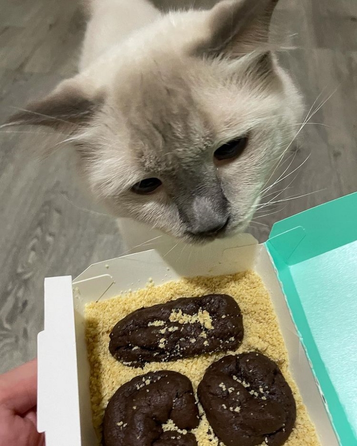 Walaupun terlihat seperti ini tapi rasanya enak (Foto: Instagram/mustsharenews)