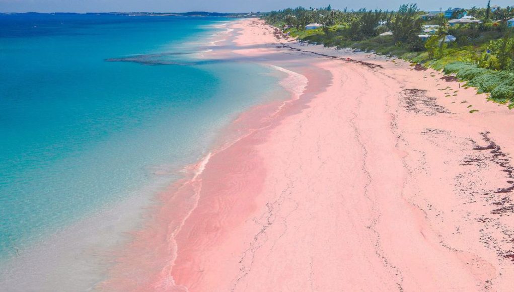 pantai pink
