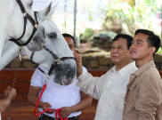 Dilatih Berkuda, Gibran Belajar Soal Patriotisme dari Prabowo