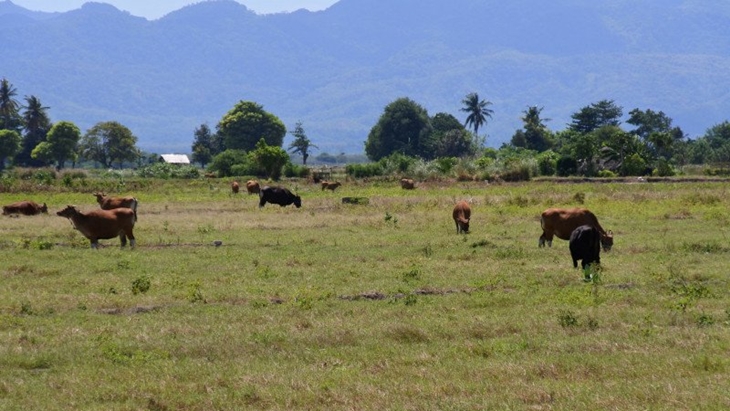 Pemkab Gunung Kidul Gelontorkan Rp 15,3 Miliar Dana Anti-Kekeringan