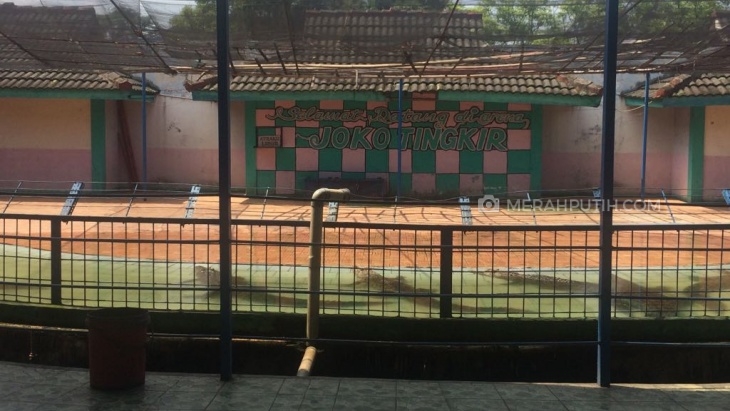 Cerita Sang Pawang Digigit Buaya Ketika Atraksi