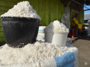 Kebijakan Impor Garam Bukti Kepanikan Pemerintah Benahi Tata Kelola