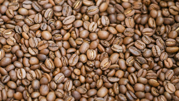 Karakter Roaster yang Dicari di Indonesia Coffee Roasting Championship 2022
