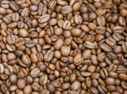 Karakter Roaster yang Dicari di Indonesia Coffee Roasting Championship 2022