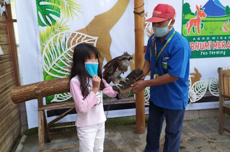 Lima Tempat Rekreasi Yogyakarta yang Ramah Anak