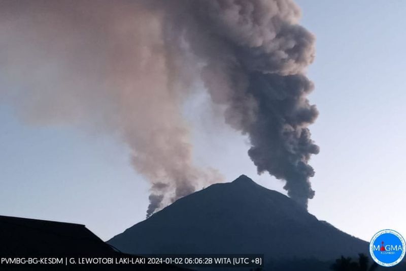 Erupsi Lewotobi Laki-Laki Paksa Ribuan Warga Mengungsi, Ada Ibu Hamil dan Balita