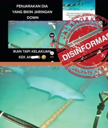 Tangkapan layar hoaks. (Foto: Antara)