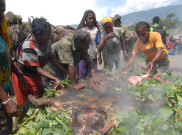 Arti Upacara Bakar Batu Bagi Orang Papua