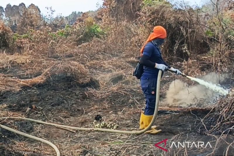 Luas Area Karhutla Tertangani di Aceh Barat 41,4 Hektare, Tersisa 16,3