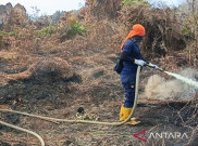 Luas Area Karhutla Tertangani di Aceh Barat 41,4 Hektare, Tersisa 16,3