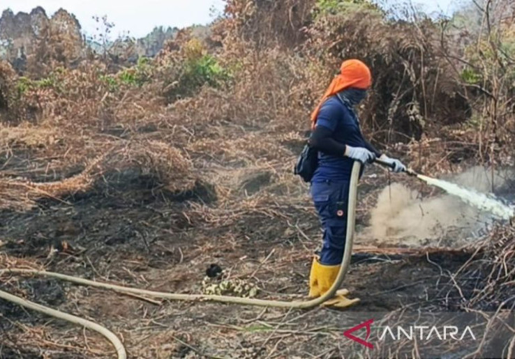 Luas Area Karhutla Tertangani di Aceh Barat 41,4 Hektare, Tersisa 16,3