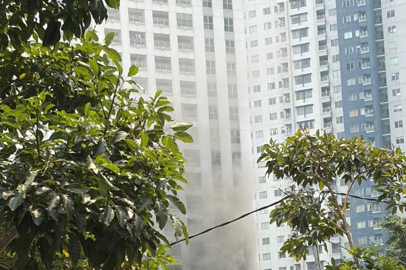 14 Orang Dievakuasi Dari Kebakaran Apartemen Pavilion