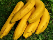 Penderita Diabetes Mengonsumsi Pisang, Bolehkah?