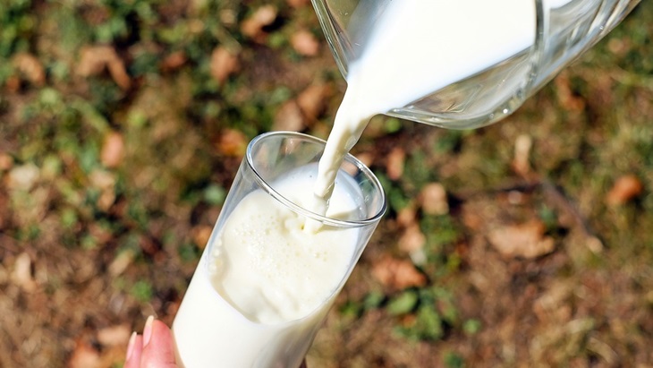 Susu Tinggi Lemak Bagus untuk Kesehatan Jantung?