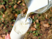 Susu Tinggi Lemak Bagus untuk Kesehatan Jantung?