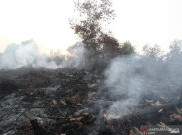  Darurat, Asap Kebakaran Hutan di Wilayah Calon Ibu Kota Negara Sudah Sampai Malaysia