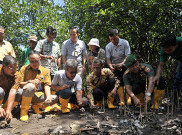 Pertamina Bantu Proses Rehabilitasi Kawasan Pesisir Padang