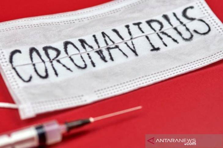 Ilustrasi - Corona virus (ANTARA/Shutterstock)