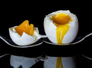 Telur Ayam Sehat tanpa AGP
