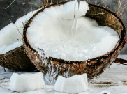 Segar dan Praktis, Aneka Resep Menu Berbuka Puasa Berbahan Kelapa 