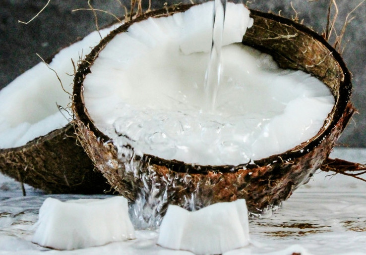 Segar dan Praktis, Aneka Resep Menu Berbuka Puasa Berbahan Kelapa 