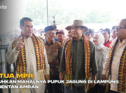 Ketua MPR Keluhkan Mahalnya Pupuk Jagung di Lampung ke Mentan Amran