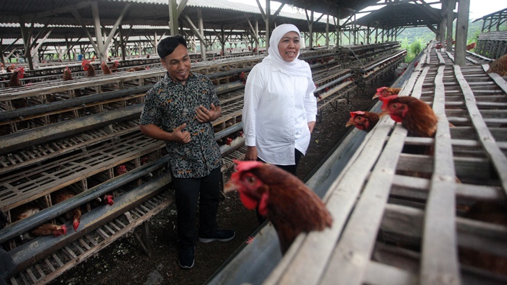 Ketua Paguyuban Peternak Rakyat Nasional (PPRN) Rofi Yasifun berbincang dengan Cagub Jatim nomor urut 1 Khofifah Indar Parawansa (Kanan). (ANTARA FOTO/Irfan Anshori)