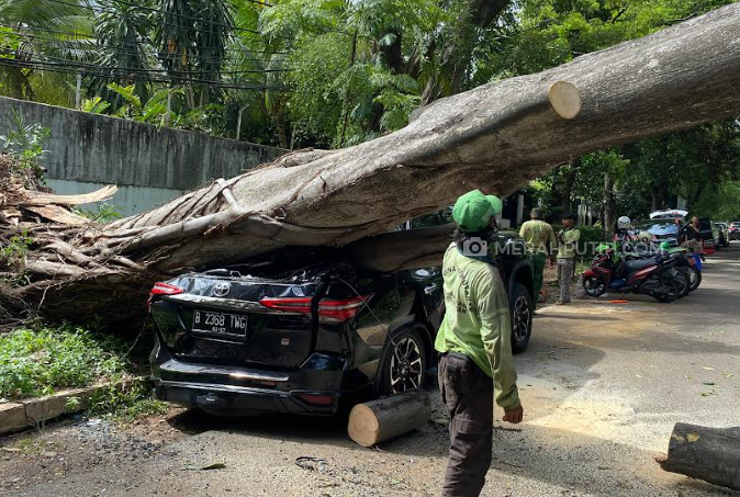 Pohon Besar Tumbang di Depan Rumah Prabowo, Menimpa Mobil Fortuner