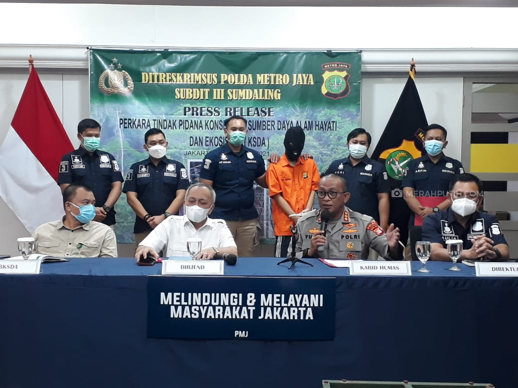 Polisi Bongkar Sindikat Penjualan Hewan Langka Beromset Jutaan Rupiah