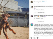 Jungkook BTS Bikin Akun Instagram untuk Bam, Anjing Peliharaannya