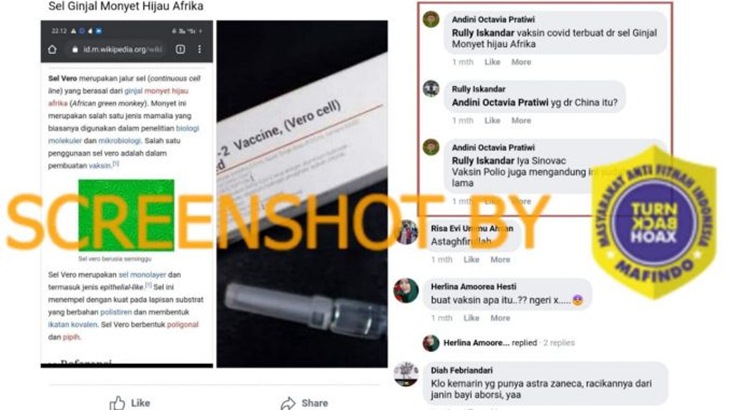 [HOAKS atau FAKTA]: Vaksin Sinovac Mengandung Sel Ginjal Monyet Hijau Afrika