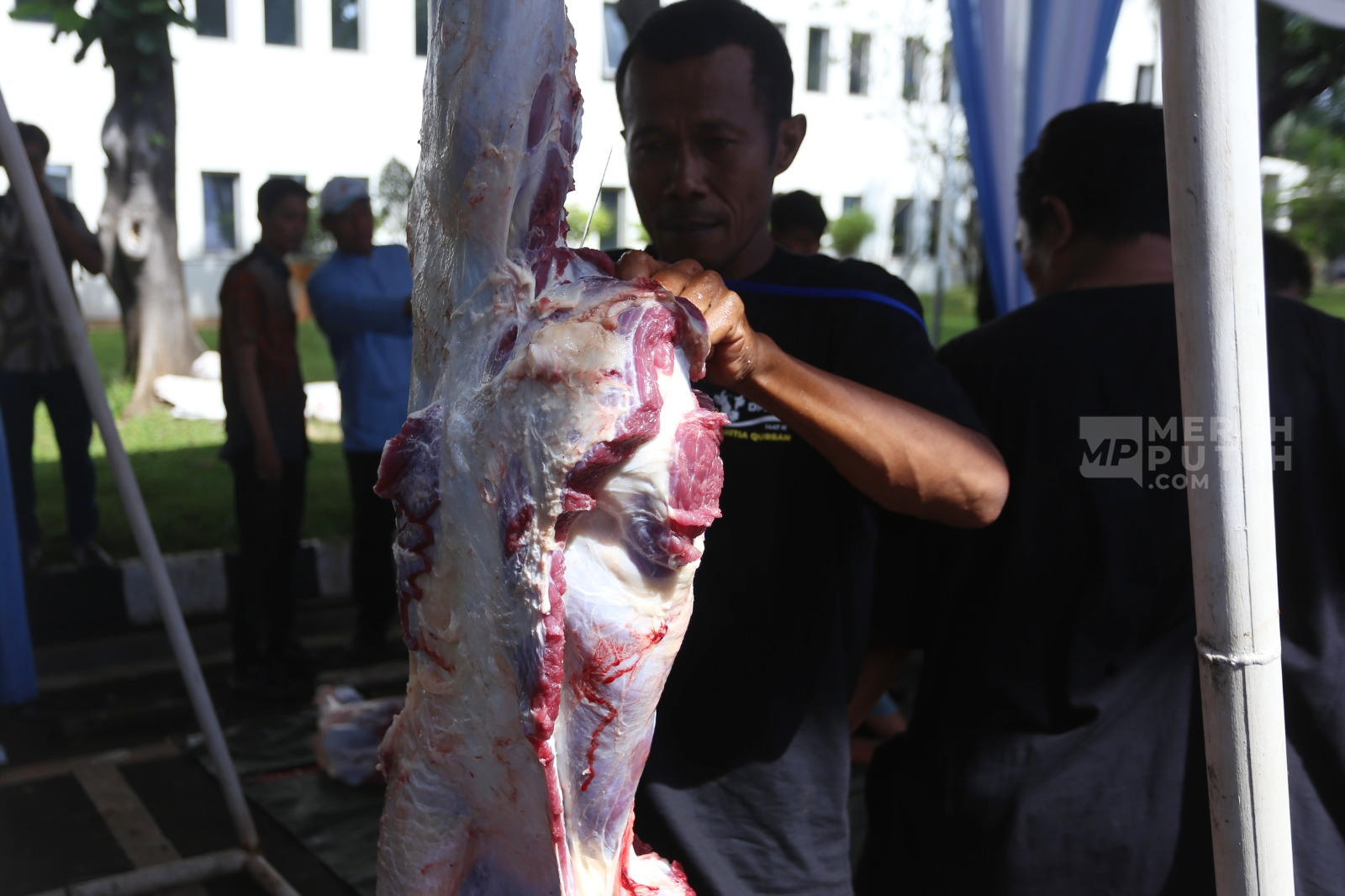 Warga Jakarta Laksanakan Pemotongan Hewan Kurban Iduladha 1447 H