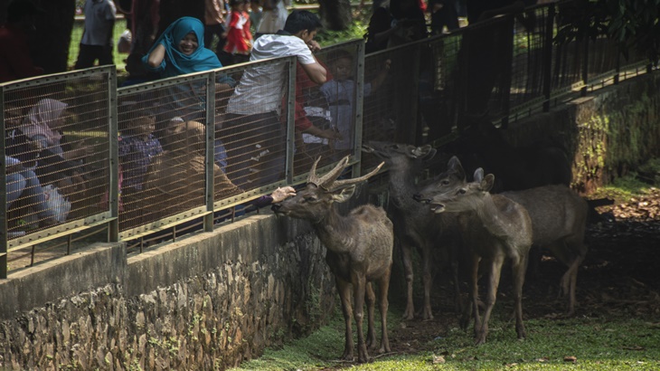 Pengunjung Ragunan saat libur lebaran