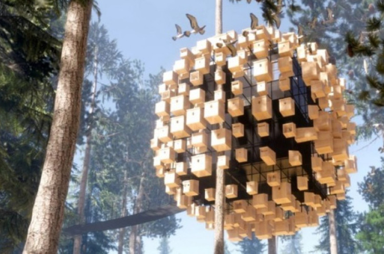 Treehotel di Swedia Sediakan Kamar Tersembunyi di Balik Rumah Burung