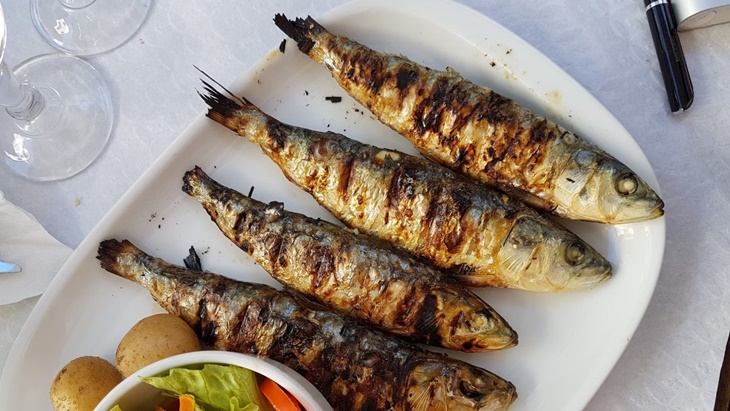 Manfaat Makanan Tinggi Lemak Bagi Kesehatan 