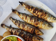 Manfaat Makanan Tinggi Lemak Bagi Kesehatan 