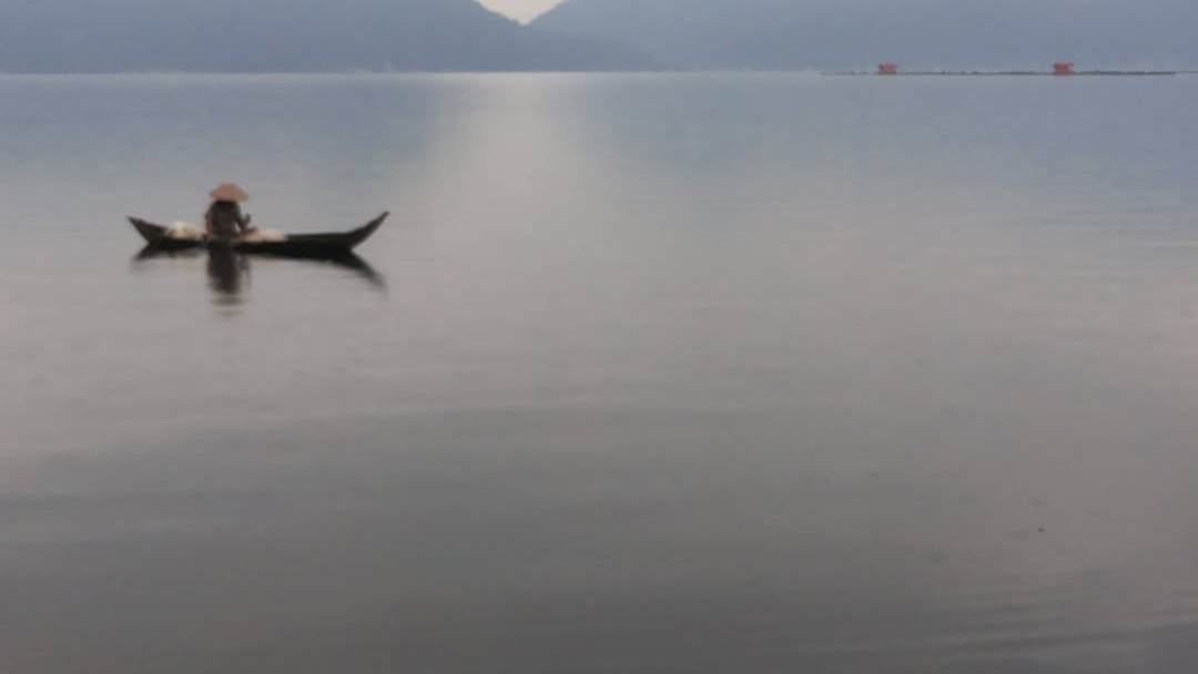 20 Spesies Ikan Danau Maninjau Punah