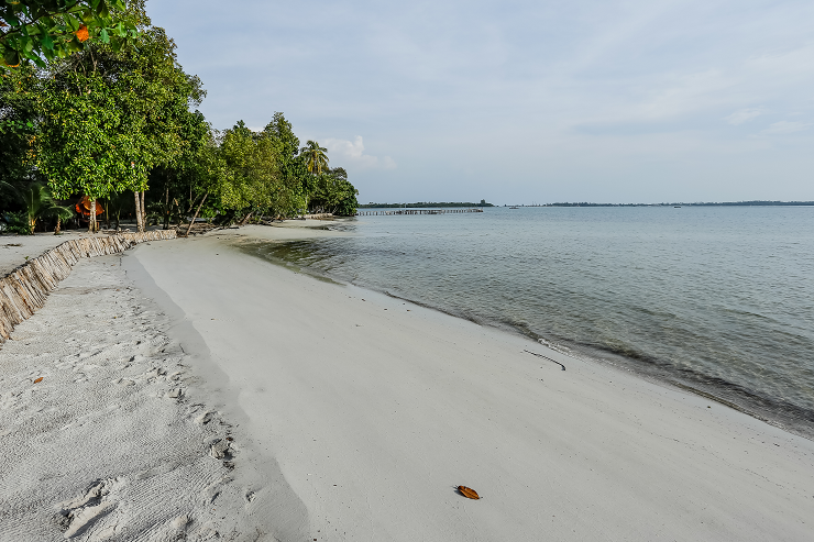 pemandangan