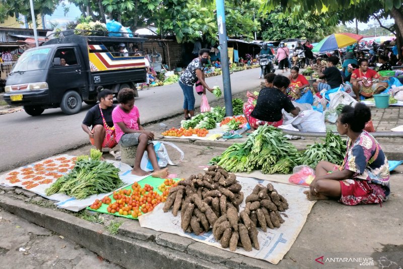 Mendagri Usul Dana Otsus Papua Jadi 2,5 Persen dari DAU