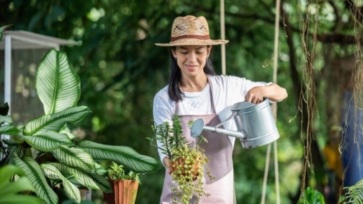 Berkebun, Cara Ampuh untuk Kesehatan Tubuh dan Pikiran
