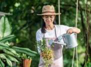 Berkebun, Cara Ampuh untuk Kesehatan Tubuh dan Pikiran