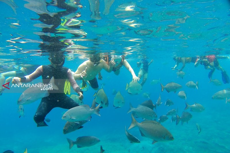 Wisatawan saat snorkeling di kampung Sawendarek yang disebut surga ikan di Raja Ampat (Foto Antara Papua Barat/ Ernes Kakisina)