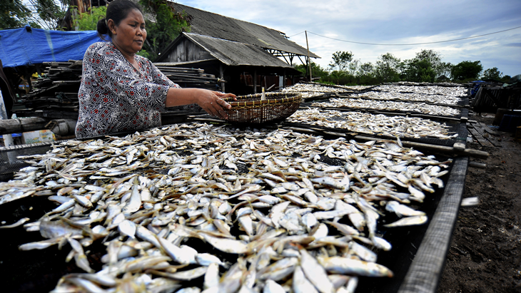 Di Kota Ini Harga Ikan Asin Lebih Tinggi dari Daging Sapi