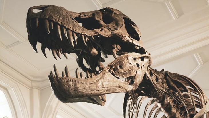 Fosil Spesies Dinosaurus Baru Ditemukan di Inggris