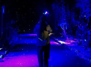 Glow, Sensasi Seru Berwisata di Kebun Raya Bogor pada Malam Hari