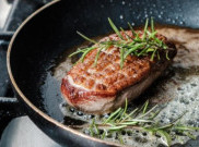 Manfaat dan Risiko Diet Karnivora