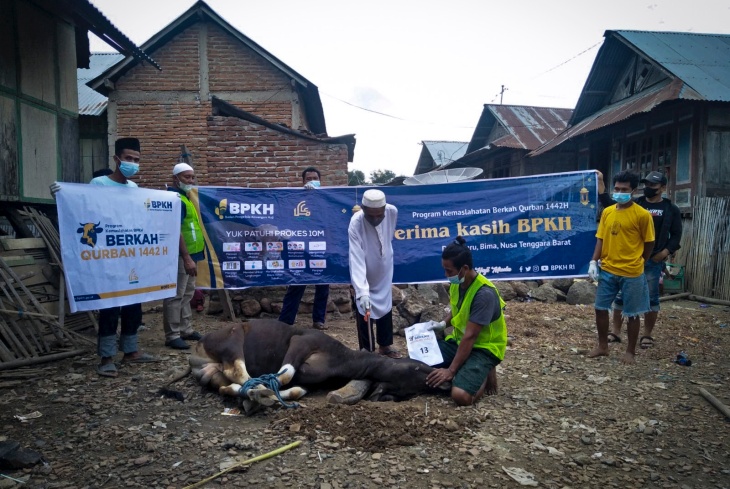BPKH Gandeng Laznas BSMU Salurkan Kurban 1000 Ekor Sapi ke Pelosok Negeri
