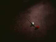 Ramalan Zodiak 25 November 2025: Keuangan dan Asmara, Apa Persoalanmu?